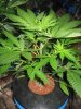 4-27-12 morning 031.jpg
