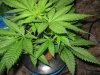 4-27-12 morning 032.jpg