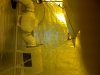IMG-20120427-00366.jpg