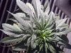IMG-20120427-01019.jpg