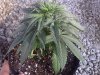 IMG-20120427-01024.jpg