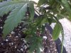 IMG-20120427-01027.jpg