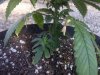 IMG-20120427-01028.jpg