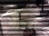 IMG_20120427_124500.jpg