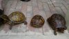 2011-06-22_12-23-30_319.jpg
