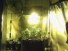 Snapshot_20120428.JPG