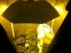 IMG-20120428-00367.jpg