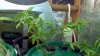 2012-04-29_22-19-39_246.jpg