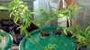 2012-04-29_22-19-19_152.jpg