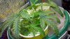 2012-04-29_22-19-09_296.jpg