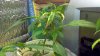 2012-04-29_22-19-00_265.jpg