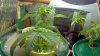 2012-04-29_22-18-51_287.jpg