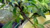 2012-04-29_22-13-42_701.jpg
