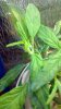 2012-04-29_22-13-08_948.jpg