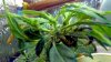2012-04-29_22-11-57_603.jpg