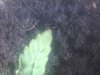 30042012259.jpg