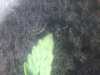 30042012260.jpg