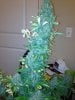 IMG_0138.jpg IMG_0138.jpg