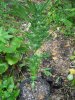 DSCN1510.jpg