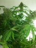 2012-04-27_19-59-23_978.jpg