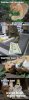 funny-pictures-how-to-celebrate-if-youre-a-lolcat.jpg