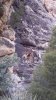 2011-03-01_14-27-15_417.jpg