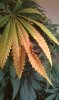 IMAG0359.jpg