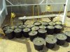 canna2012 (3).jpg canna2012 (3).jpg