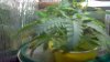 2012-05-02_23-05-26_326.jpg