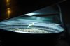 DSC_01161912.jpg