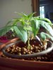 100_0748.jpg
