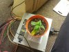2012-05-02 23.13.19.jpg