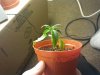 2012-05-02 23.13.30.jpg