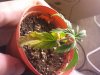 2012-05-02 23.13.44.jpg