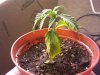 2012-05-02 23.13.53.jpg