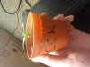 2012-05-02 23.15.23.jpg