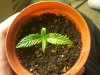 2012-05-02 23.15.32.jpg