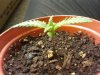 2012-05-02 23.15.51.jpg