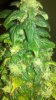 2012-05-03_12-52-58_247.jpg