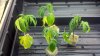 2012-05-03_17-46-49_944.jpg