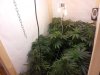 2012-05-04 11.39.13.jpg