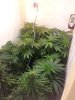 2012-05-04 11.39.03.jpg