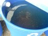 2012-05-04 08.57.20.jpg