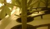 IMAG0160.jpg