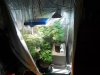 05 04 tent 1.jpg