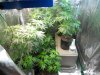 05 04 tent 6.jpg