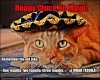 funny-pictures-happy-cinco-de-mayo.jpg