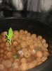 IMG_20120505_204300.jpg