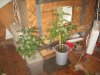 5-5-12 003.JPG