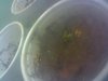2012-05-06_22-10-26_243.jpg